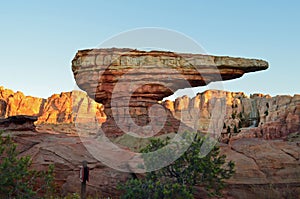 California Adventures Cars Land photo