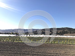 California Agriculture Landscape