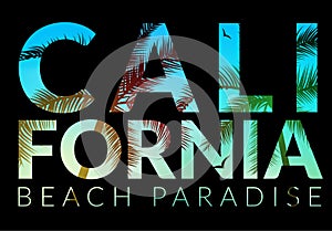 California background with palm. Vector background beach. Summer tropical banner design. Paradise poster template illustration