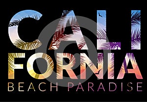 California background with palm. Vector background beach. Summer tropical banner design. Paradise poster template illustration