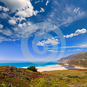 California beach in Big Sur in Monterey Pacific Highway 1