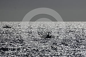 California Beach Series - Pacific Ocean Waves