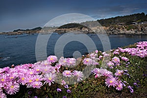 California Coast