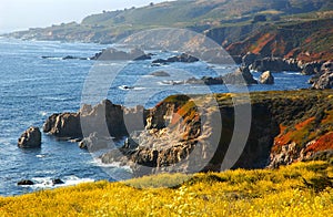 California coast