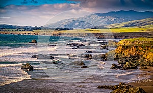 California Coast with Cliffs and Rocks