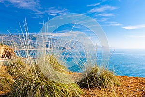 California coast landscape