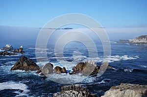 California Coast Point Lobos