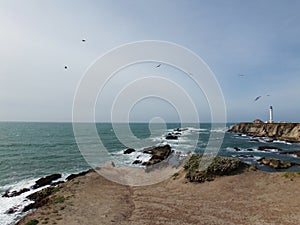 California Coastal Cliffs with a Lighthouse and Flying Birds in the Sky , Carved Rocks in the Pacifc Ocean