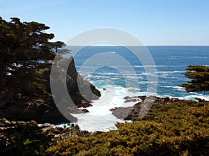 California Coastal Cliffs with Trees Growing on the Edge - Road Trip Down Highway No. 1