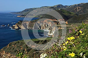 California Coastline