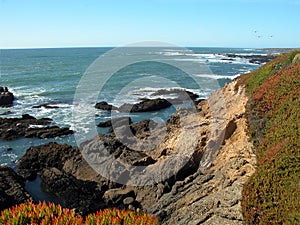 California Coastline