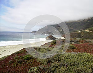 California Coastline during Summer