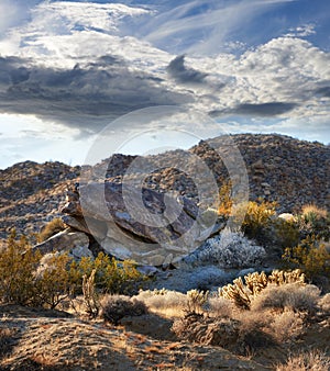 California, desert and landscape with view, enviroment and blue sky for travel or tourism. Nature, mountain and land for photo