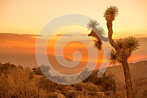 California Desert Scenery photo