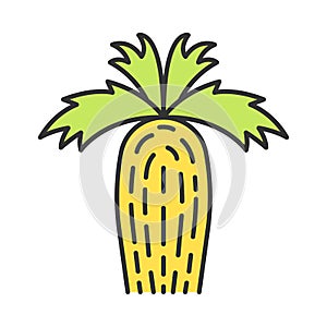 California fan palm color icon