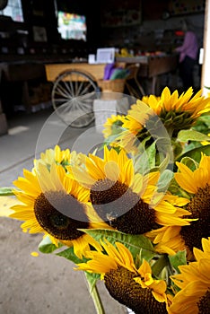 California: farm stand shop sunflowers