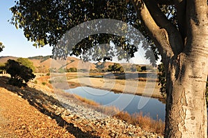 California golden hills Alameda Creek in Fremont, California