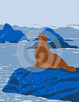 California Harbor Seal on Rock Outcroppings in California Coastal National Monument Along the Coast of California WPA Poster Art photo
