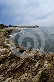 California highway 1 spring time