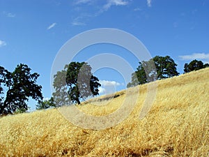 California hills