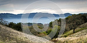 California Hills with evening fog of Sonoma County Wine Country