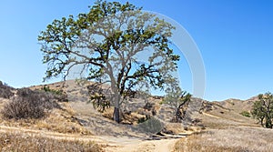 California Hills Panorama