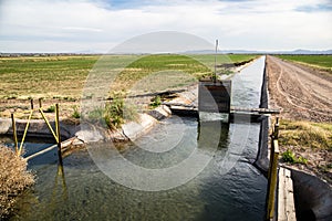 California Irrigation Ditch