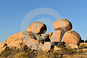 California- Joshua Tree National Park Rock Formations