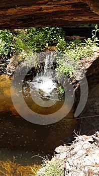 California nature creek waterfall