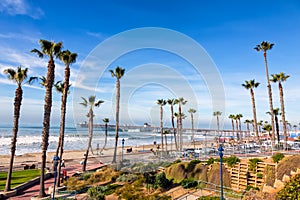 California Oceanside pier with palm trees view