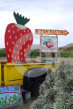 California: organic strawberry farm stand