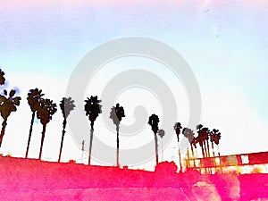 California Palm trees Los Angeles pink graphic watercolor background