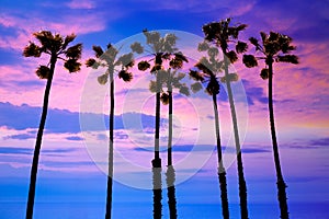 California palm trees sunset with colorful sky