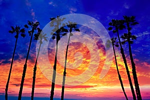 California palm trees sunset with colorful sky