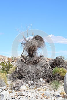 California Park Series - Anza-Borrego Desert State Park - The Borrego Badlands photo