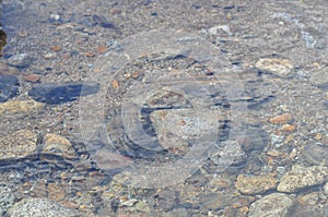 California Park Series - Anza Borrego Desert State Park - River Stream Rocks