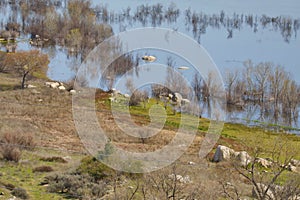 California Park Series - Lake Henshaw Reservoir - Scenic Vista Lookout