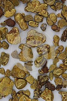 California Placer Gold Nuggets photo