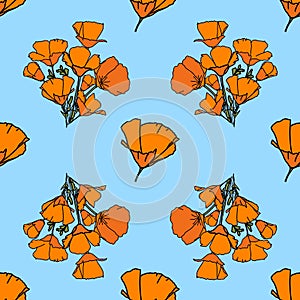 California poppies  blossom flowers pattern