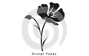 California Poppy, California Poppy Vector, Poppy Flower, Poppies Vector, Pretty Flower Vector