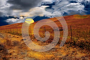 California ranchlands sunset, blue skies billowing clouds and a setting sun casting a golden glow over fields and meadows.