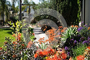 California residential landscaping photo