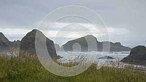 California Rocky Coastline through the high grasses