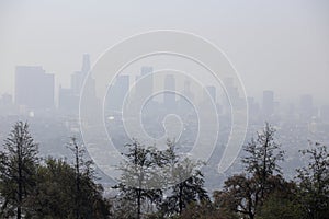 California smog photo