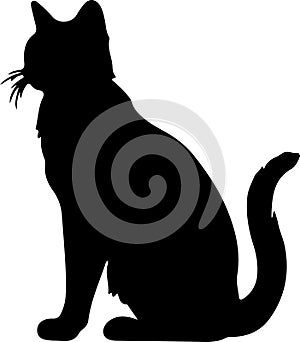 California Spangled Cat Black Silhouette Generative Ai