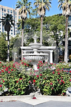 California State Capitol World Peace Rose Garden (McKinley Rose Garden) in Sacramento, California