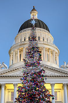 California State Christmas Tree