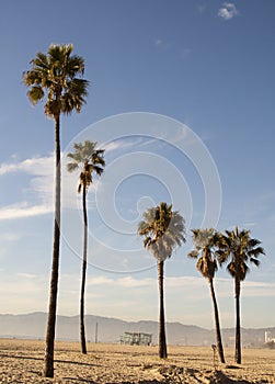 California Summer - Santa Monica Beach