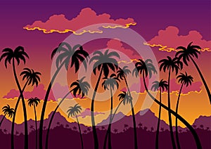 California sunset landscape. Coast wallpaper with black silhouette palm trees. Nature panorama of scenic violet-orange