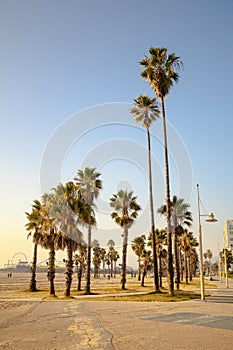 California Sunset - Santa Monica Beach
